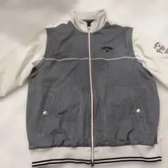 Item thumbnail for item 4c19260f-3122-4248-b8c3-fbf88918e0b1