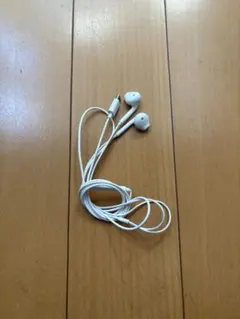 ホワイト 有線イヤホン USB-C
