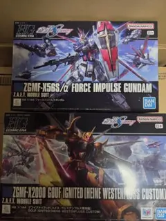 HG グフイグナイテッド(ハイネ機)&ズゴック(SEED FREEDOM)クリア