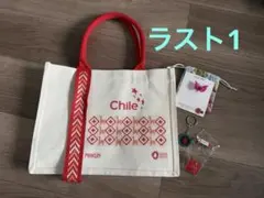 大阪・関西万博　Chile ノベルティセット 大阪関西万博 ノベルティーセット - メルカリ