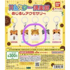 ハムスター倶楽部 めじるしアクセサリー ガチャガチャ ぷーちゃん