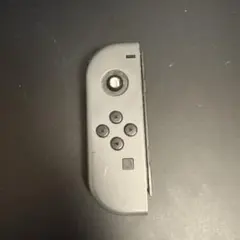 Nintendo Switch Joy-Con
