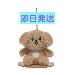 ミニティーンMAGNET PLUSH KEYRING DOA ドア MINITEEN MAGNET PLUSH KEYRING ドア DOA - メルカリ