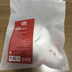 BOYNEXTDOOR プネクド キーリング ウナク WOONBABY