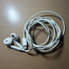 Apple EarPods Lightningコネクタ 本体