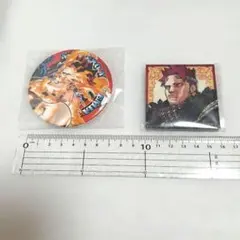 ヒロアカ エンデヴァー アニマルビーチボール アクリルスタンド - メルカリ