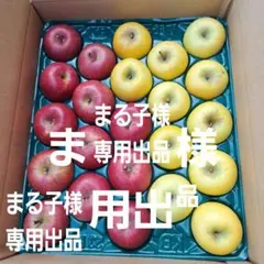 まる子様専用出品　サンふじ9玉&シナノゴールド14玉~合計23玉
