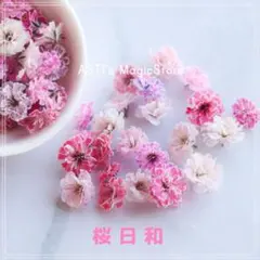 ののい様専用 桜子×ざわわ 抜き苗 - メルカリ