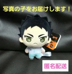 ハイキュー!! ぷちっしゅ！ぬいぐるみ マスコット 岩泉一