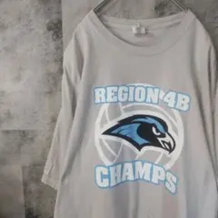 半袖TシャツUSA古着ビッグオーバーサイズピンク2XL　C22,19