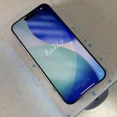 iPhone 15 Pro Max 256GB SIMフリー 残債なし