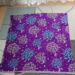 Item thumbnail for item 76db7934-108e-4401-8788-596d648be373