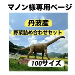 マノン様専用ページ‼️野菜詰め合わせセット‼️100サイズ