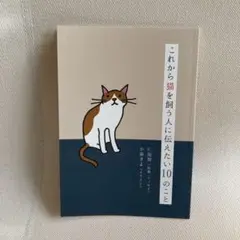 これから猫を飼う人に伝えたい10のこと
