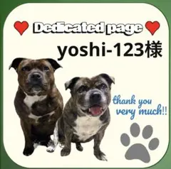 yoshi-123様専用