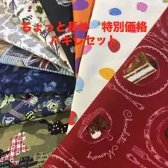 173 特別価格　ちょっと長めハギレセット　サイズは説明文に　昆虫柄生地　など