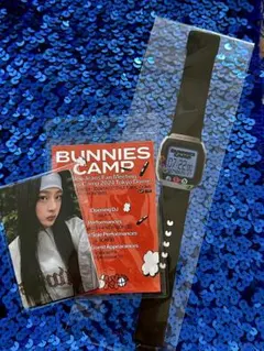 Item thumbnail for item 4df1e52d-be67-48d6-b4e4-2b8c99d2e48f