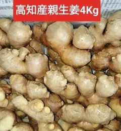 新生姜 高知県四万十市産 4kg - メルカリ