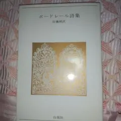 ボードレール詩集 佐藤晃訳 新装版