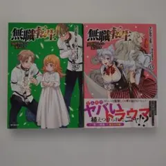 無職転生 〜異世界行ったら本気だす〜 17 購入特典 4Pリーフレット