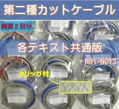 Item thumbnail for item 093ed429-9599-48a6-853e-463472c11cc2