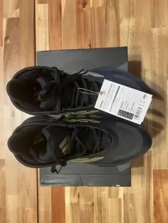 adidas バッシュ　バウンス レジェンズ　黒　ゴールド　29.0cm 新品のサムネイル