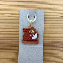 ポケモン Poké-Charm 30周年ロゴマスコット　ヒコザル　1点
