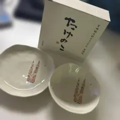 新品未使用 片岡鶴太郎 オリジナル 美濃焼 たけのこ 小鉢、平皿セット