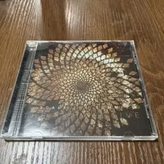 Scale the Summit / The Collective CD 輸入盤のサムネイル