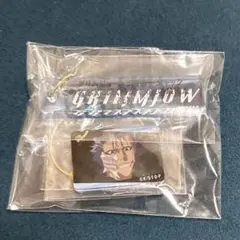 BLEACH グリムジョー・ジャガージャック