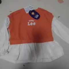 Item thumbnail for item 8f73cd2d-41c3-4acc-8223-de830ae43bc6