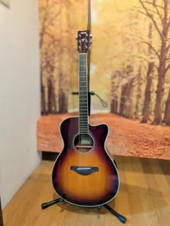 YAMAHA FSC-TA アコースティックギター 本体のサムネイル
