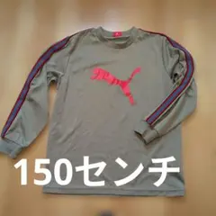PUMA 長袖Tシャツ　サッカーウェア　スポーツ　150センチ　カーキ　キッズ