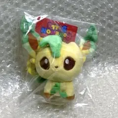 2025年最新】ポケモンセンターオリジナル ぬいぐるみ リーフィア