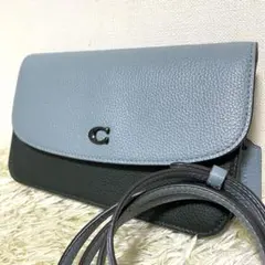 美品✨ コーチ COACH ヘイデン クロスボディ ウィロウ ショルダーバッグ