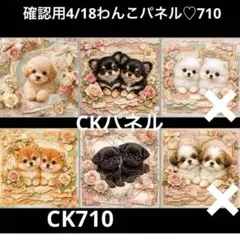 確認用4/18わんこパネル　ハンドメイド