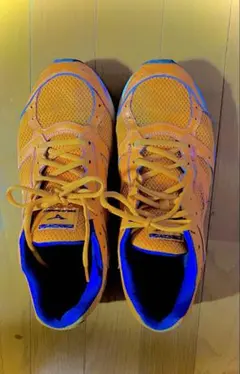 MIZUNO ミズノ シューズ　定価11000円のサムネイル