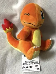 ポケットモンスター ポケモン しっぽみてみて ぬいぐるみ ヒトカゲ ❸