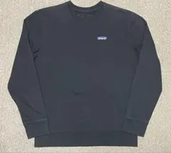 Patagonia 裏起毛スウェット　トレーナーSTY39543FA19