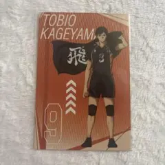 ハイキュー!!プラザ 購入特典 影山飛雄