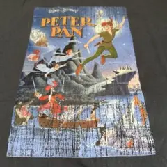 Ungrid Disney Peter Pan Tシャツのサムネイル