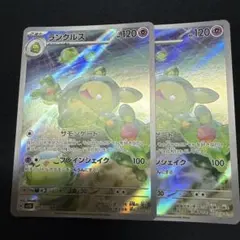 ランクルス　ar 2枚