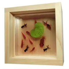 takusan様 リクエスト 3点 まとめ商品