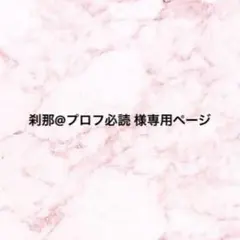 刹那@プロフ必読 様専用ページ