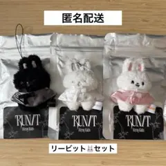リービット マイクロ コンプリート stray kids RUN IT ソウル - メルカリ