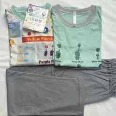 Item thumbnail for item 95636f03-66b4-4184-b9f4-3524728875e1