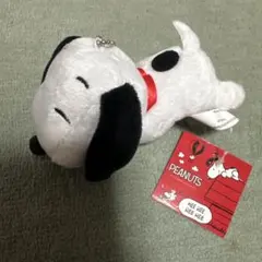 スヌーピー PEANUTS ぬいぐるみマスコット