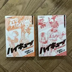 ハイキュー!! ショーセツバン!! 烏野高校・春　夏