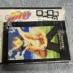 2025年最新】家庭教師ヒットマンREBORN! アクリルスタンド「ツナ