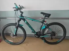 ydqqb様専用Bianchi ビアンキ KUMA アルミニウム - メルカリ